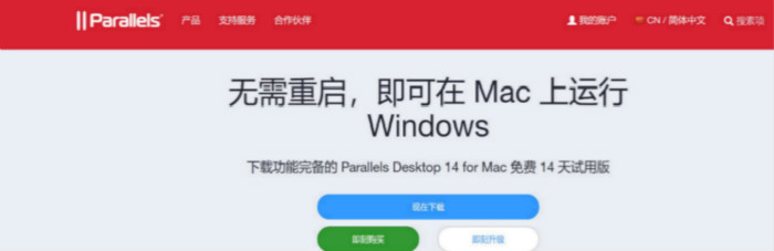文件:大.jpg